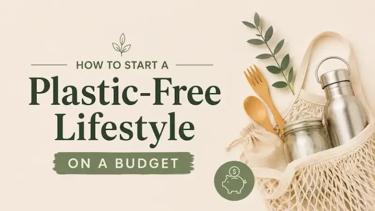 How to Start a Plastic-Free Lifestyle on a Budget